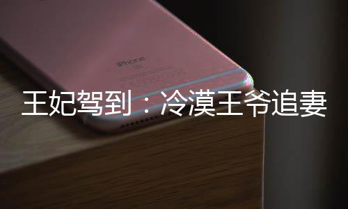 《疯批美人有小岛，年代大佬宠上心》全文在线阅读