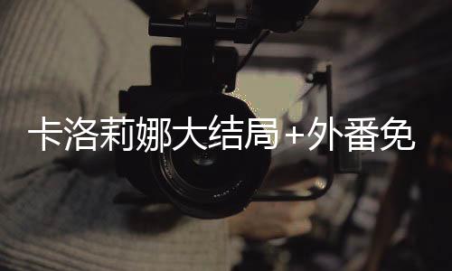 《席爷每天都想官宣》全文在线阅读