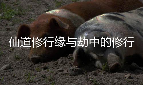 《重生年代大院娇媳美又飒》全文在线阅读
