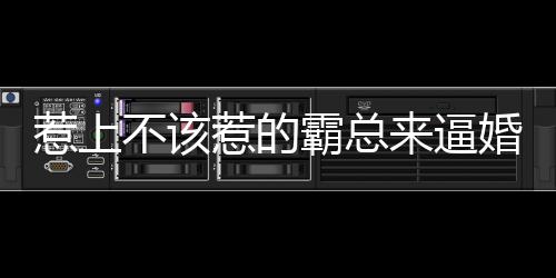 《港夏烈吻》全文在线阅读