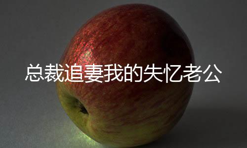 总裁追妻我的失忆老公