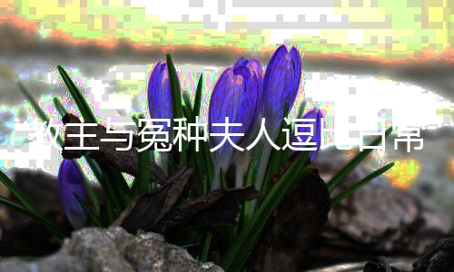 《大神你人设崩了》全文在线阅读