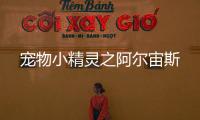 宠物小精灵之阿尔