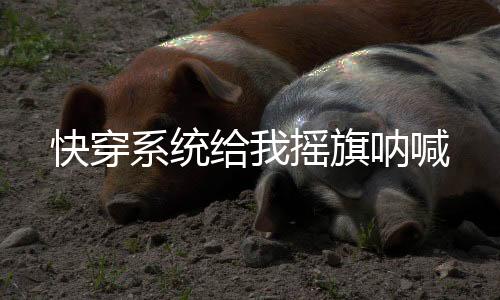 《快穿年代之炮灰逆袭》全文在线阅读