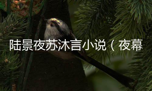 《夫人她马甲又轰动全城了》全文在线阅读