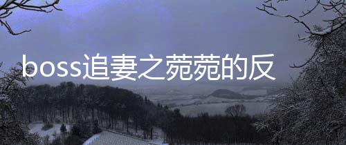 《入夜，娇软乖乖被京圈大佬吻哭了》全文在线阅读